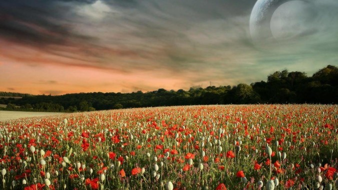 你的网盘里有什么好东西，可以分享给我吗，陌生人？